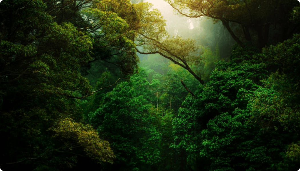 image_two